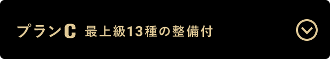 プレミアムプラン